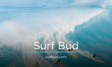 SurfBud.com - Creative brandable domain for sale